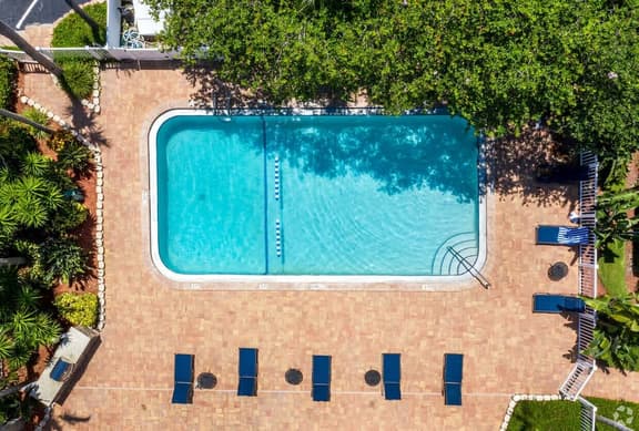 Sunnyside Palms